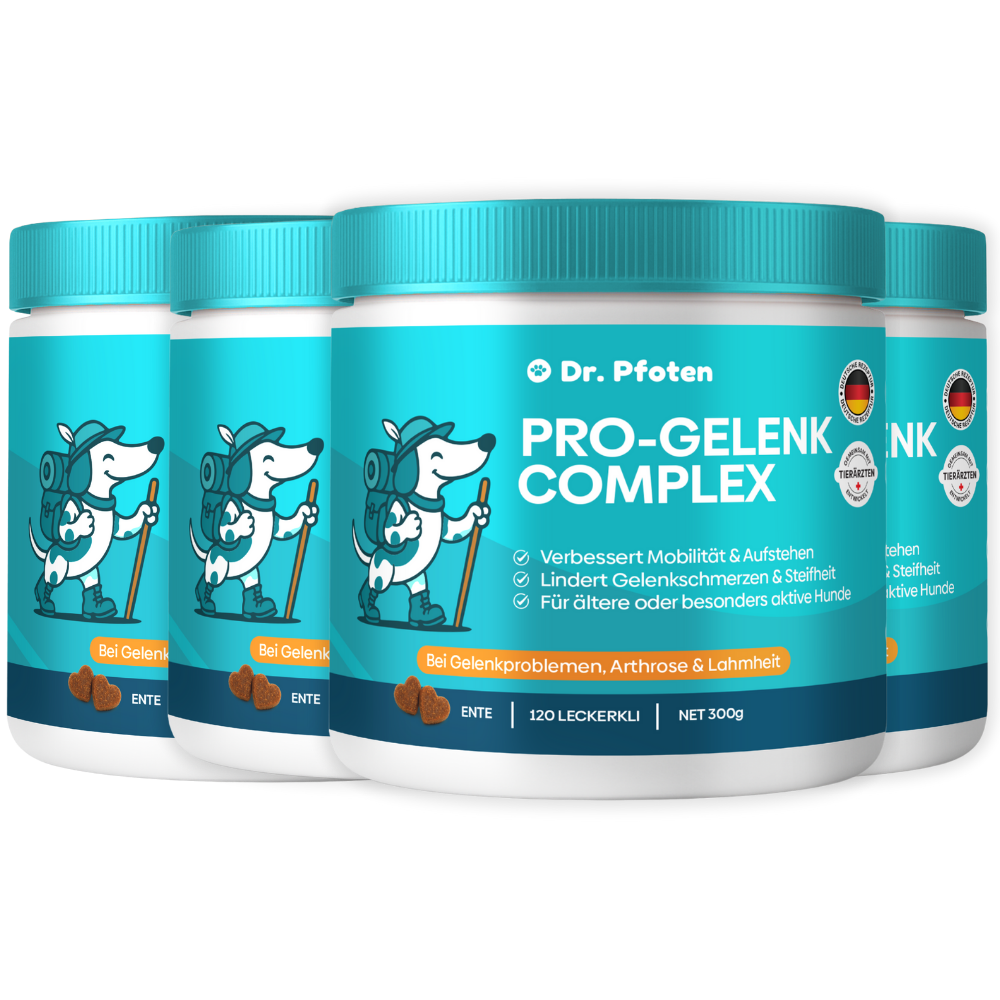 Pro-Gelenk Complex Leckerlis