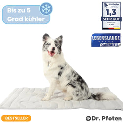 PfotenChill™ - Die innovative Kühlmatte für Hunde