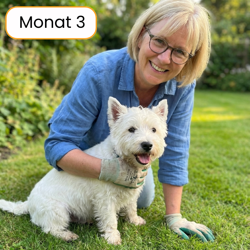 Juckreiz & Allergie Leckerlis