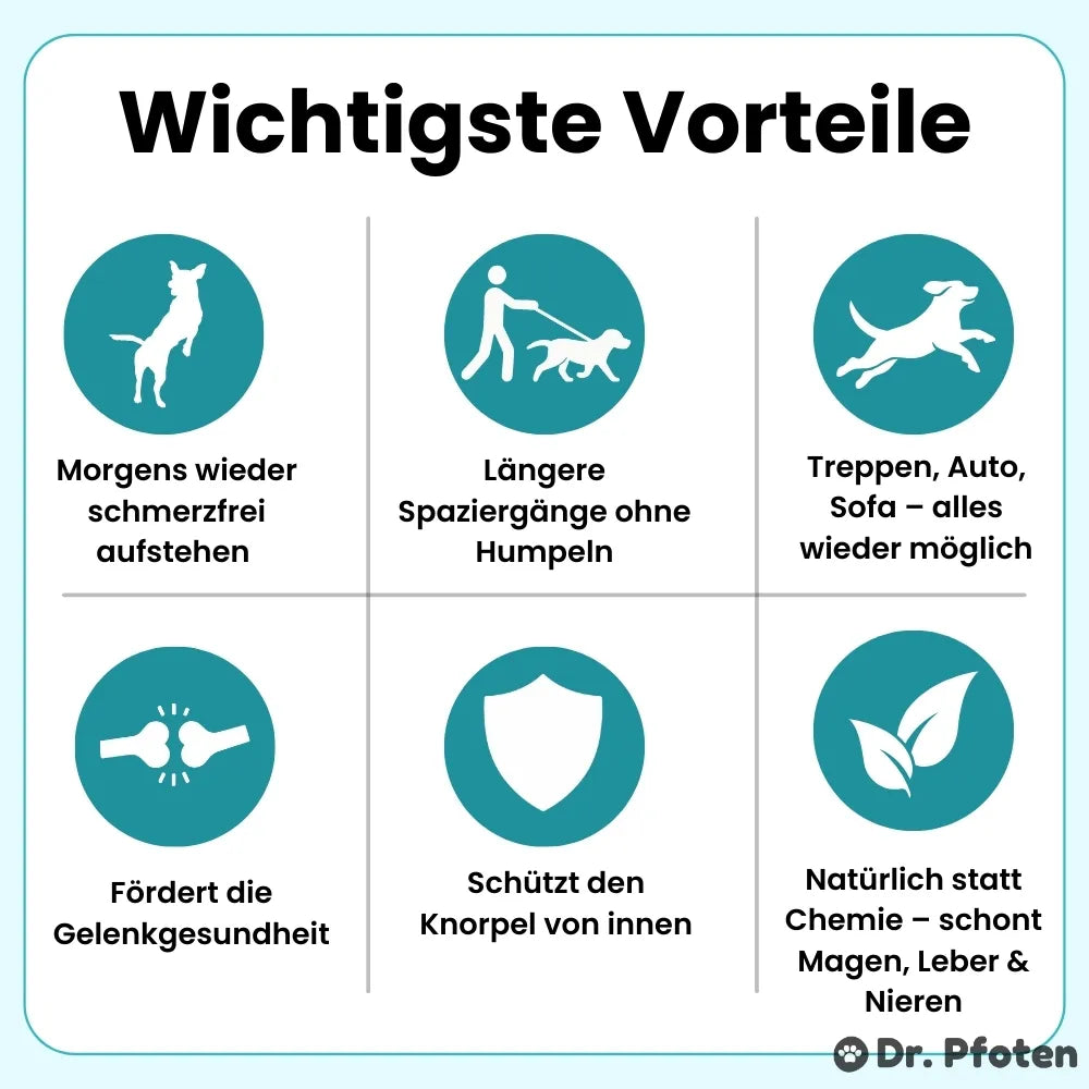 Pro-Gelenk Complex Leckerlis