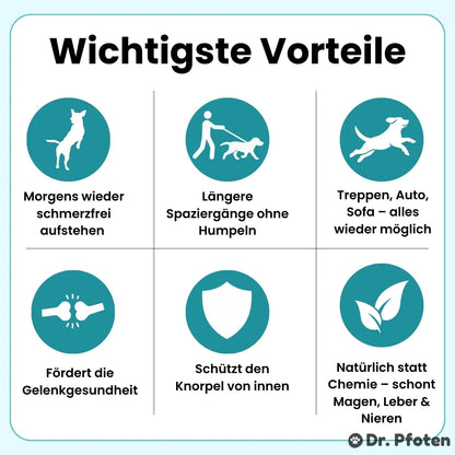 Pro-Gelenk Complex Leckerlis