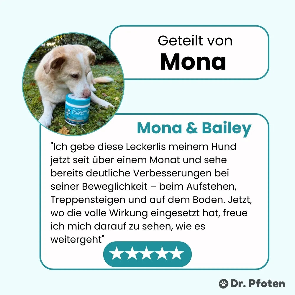 Pro-Gelenk Complex Leckerlis