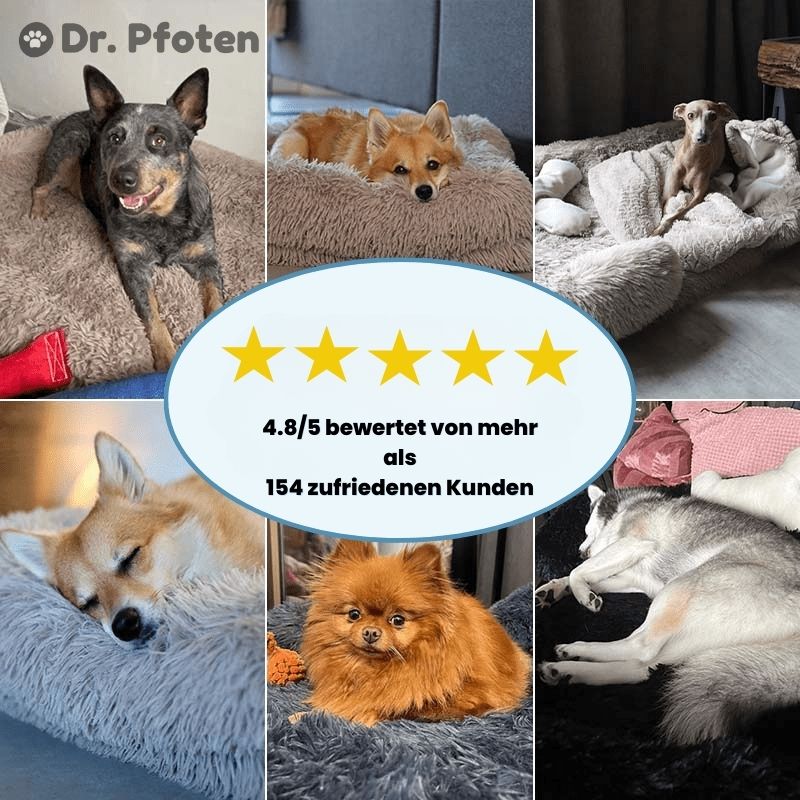 HundeTraum™ - Das orthopädische Bett für erholsamen Schlaf