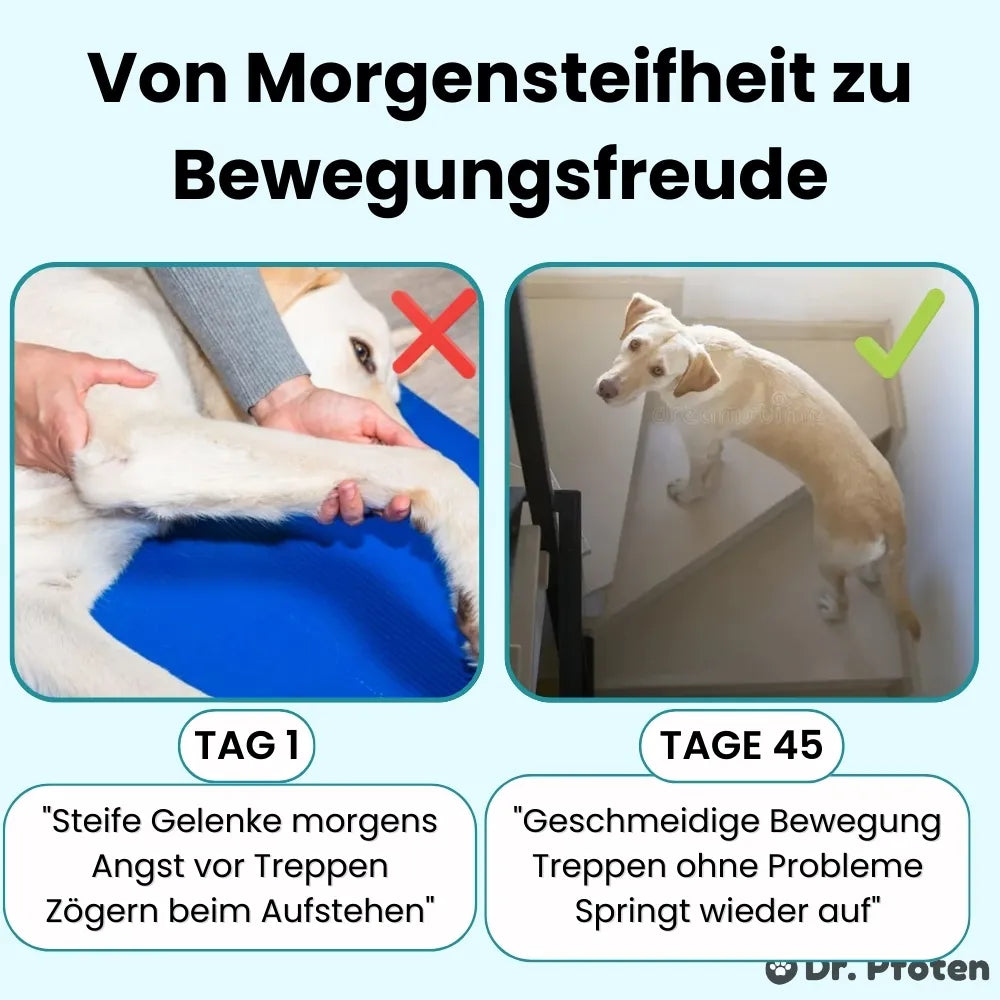 Pro-Gelenk Complex Leckerlis