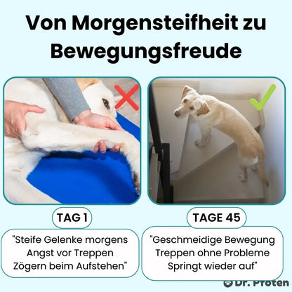 Pro-Gelenk Complex Leckerlis