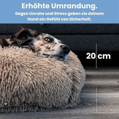 HundeTraum™ - Das orthopädische Bett für erholsamen Schlaf