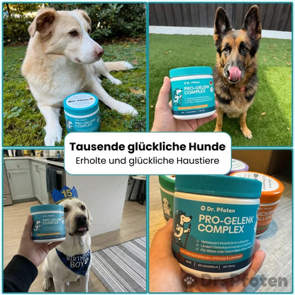 Pro-Gelenk Complex Leckerlis