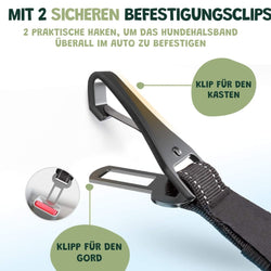 sicherheitsgurt hund kofferraum