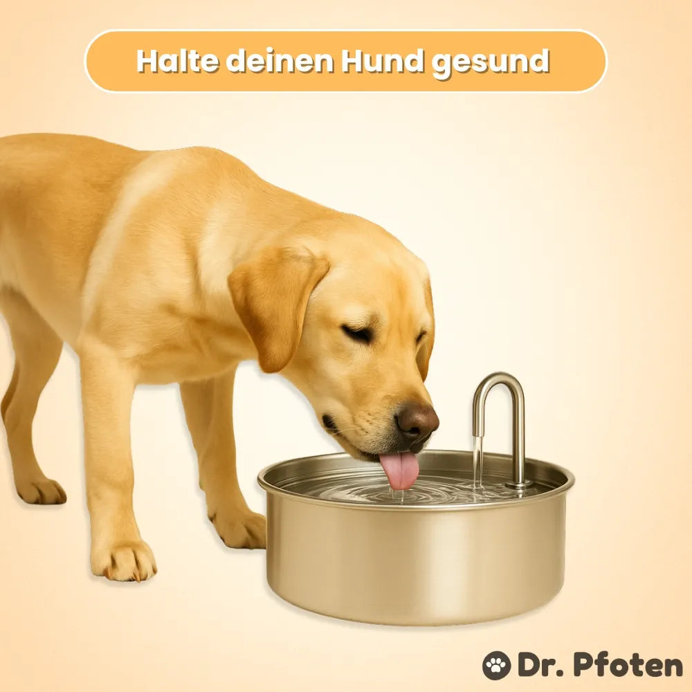 AquaFlow™ - Der antibakterielle Trinkbrunnen mit Filtration