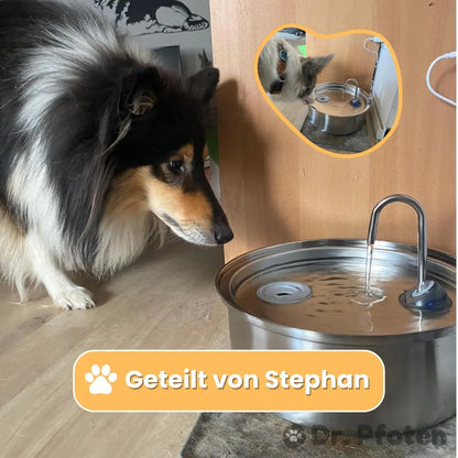 AquaFlow™ - Der antibakterielle Trinkbrunnen mit Filtration