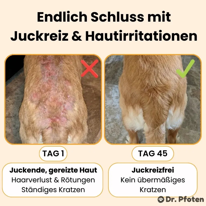 Juckreiz & Allergie Leckerlis