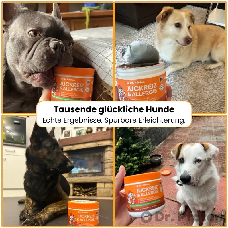 Juckreiz & Allergie Leckerlis