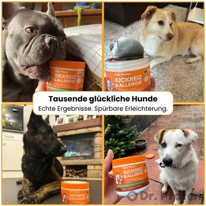 Juckreiz & Allergie Leckerlis