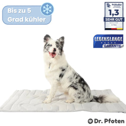 PfotenChill™ - Die innovative Kühlmatte für Hunde