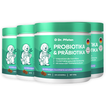 Probiotika & Präbiotika Leckerlis