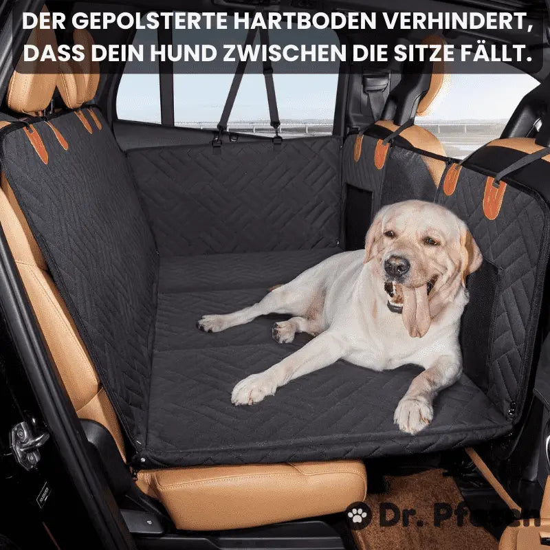 sitzbezug hund auto