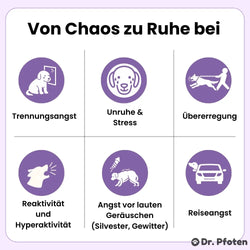 Beruhigung & Relax Leckerlis