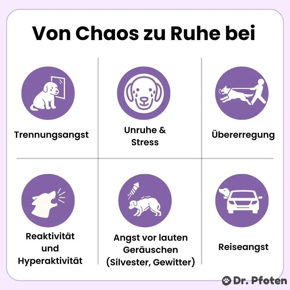 Beruhigung & Relax Leckerlis