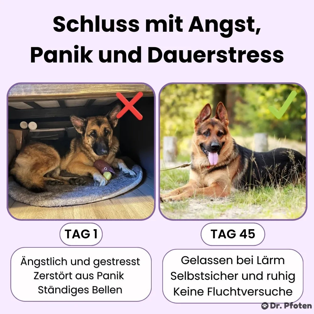 Beruhigung & Relax Leckerlis