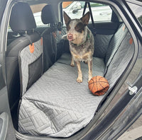 Hund sitzt auf Autositzbezug PfotenSchutz im Auto