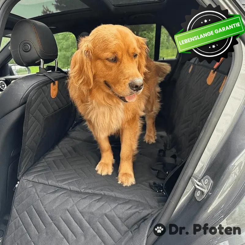 PfotenSchutz™ - Stabiler Autositzbezug