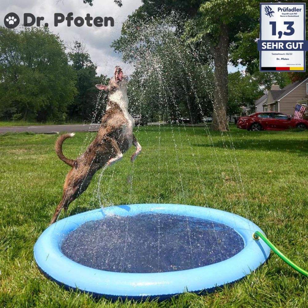 PfotenOase™ - Wasserspielmatte für Hunde