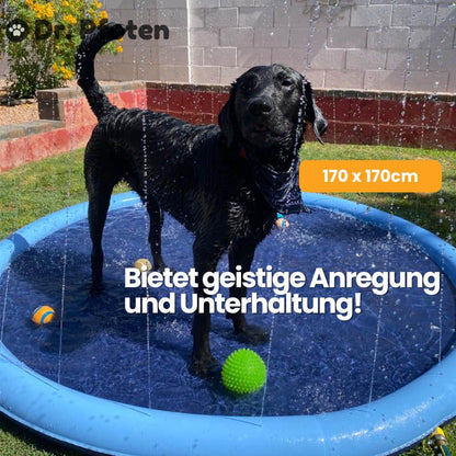 PfotenOase™ - Wasserspielmatte für Hunde