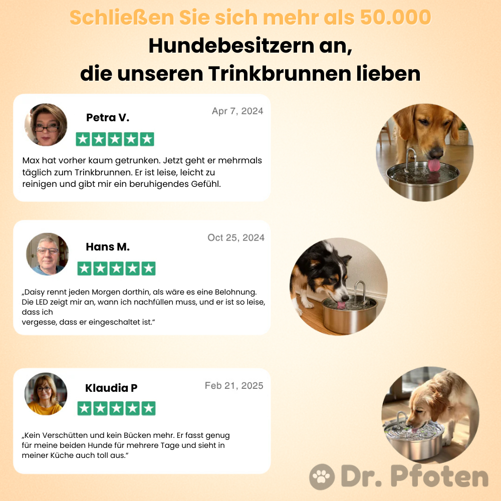 AquaFlow™ - Der antibakterielle Trinkbrunnen mit Filtration