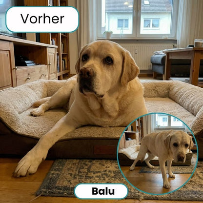 Pro-Gelenk Complex Leckerlis