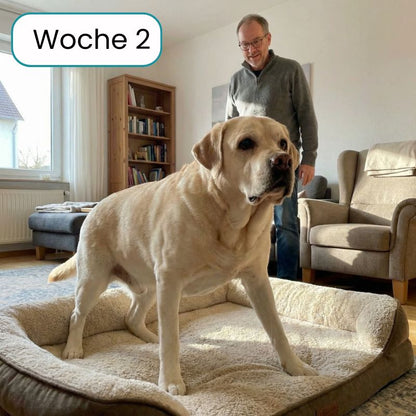 Pro-Gelenk Complex Leckerlis