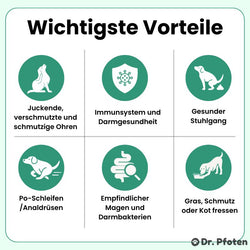 Probiotika & Präbiotika Leckerlis