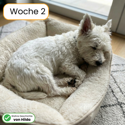 Juckreiz & Allergie Leckerlis