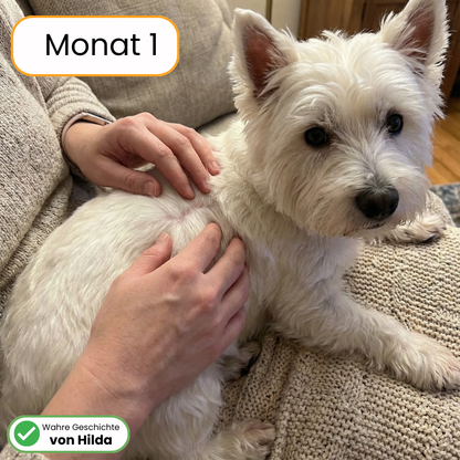 Juckreiz & Allergie Leckerlis