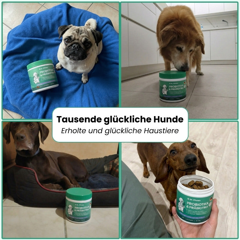 Probiotika & Präbiotika Leckerlis