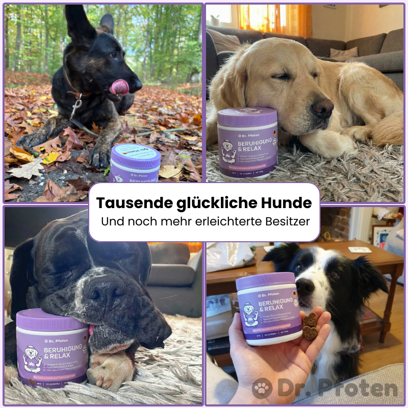 Beruhigung & Relax Leckerlis