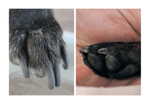 Gleichmäßige Ergebnisse leicht gemacht