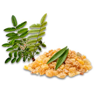 Weihrauch-Extrakt (100 mg)