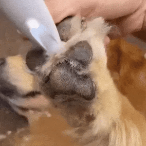 Warum du unsere Ersatzklingen lieben wirst