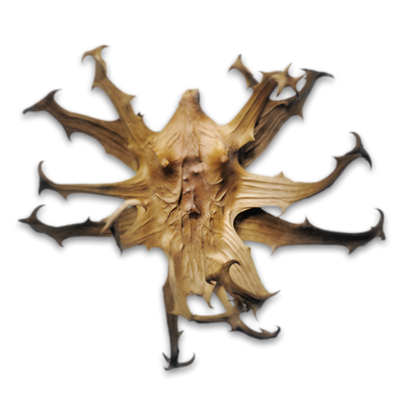 Teufelskralle (25 mg)