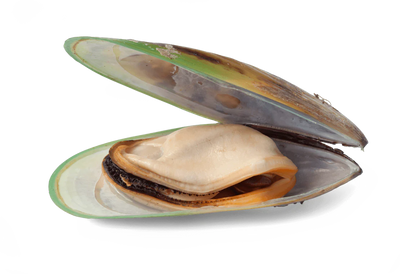 Grünlippmuschel (90 mg)