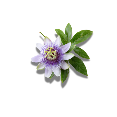 Passionsblume (120 mg)